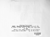 Image Associated With the Occurence